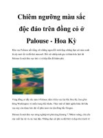 Chiêm ngưỡng màu sắc độc đáo trên đồng cỏ ở Palouse - Hoa Kỳ pdf