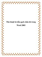 Thủ thuật bỏ dấu gạch chân đỏ trong Word 2003 docx