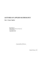 LECTURES ON APPLIED MATHEMATICS pptx