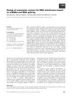 Báo cáo khoa học: Design of expression vectors for RNA interference based on miRNAs and RNA splicing potx