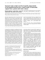 Báo cáo Y học: Structural study on lipid A and the O-speciﬁc polysaccharide of the lipopolysaccharide from a clinical isolate of Bacteroides vulgatus from a patient with Crohn’s disease ppt