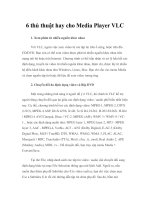 6 thủ thuật hay cho Media Player VLC doc