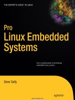 Pro Linux Embedded Systems doc