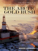 The Arctic Gold Rush The New Race for Tomorrow’s Natural Resources pdf
