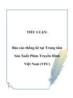 TIỂU LUẬN: Báo cáo thống kê tại Trung tâm Sản Xuất Phim Truyền Hình Việt Nam (VFC) docx