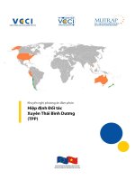 Khuyến nghị phương án đàm phán Hiệp định Đối tác Xuyên Thái Bình Dương (TPP) potx
