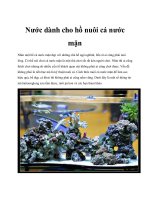 Nước dành cho hồ nuôi cá nước mặn potx