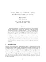 Interest Rates and The Credit Crunch: New Formulas and Market Models potx
