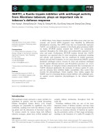 Báo cáo khoa học: NtKTI1, a Kunitz trypsin inhibitor with antifungal activity from Nicotiana tabacum, plays an important role in tobacco’s defense response pot