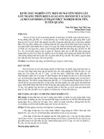 BƯỚC ĐẦU NGHIÊN CỨU MỘT SỐ NGUYÊN NHÂN GÂY GÃY NGANG THÂN KEO LAI (ACACIA MANGIUM X ACACIA AURICULIFORMIS) Ở TRẠM THỰC NGHIỆM HÀM YÊN, TUYÊN QUANG ppt