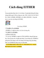 Cách dùng EITHER pot