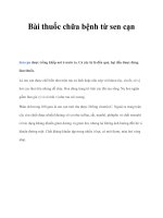 Bài thuốc chữa bệnh từ sen cạn docx