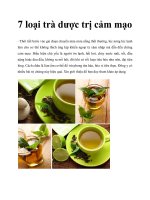 7 loại trà dược trị cảm mạo pdf