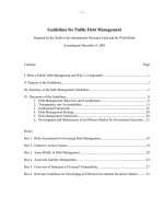 Guidelines for Public Debt Management potx