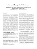 Census and Survey of the Visible Internet pptx