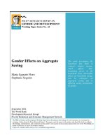 Gender Effects on Aggregate Saving - Maria Sagrario Floro Stephanie Seguino pptx