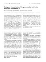 Báo cáo khoa học: Cloning and characterization of the genes encoding toxic lectins in mistletoe (Viscum album L) pot