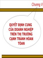 Chương V: QUYẾT ĐỊNH CUNG CỦA DOANH NGHIỆP TRÊN THỊ TRƯỜNG CẠNH TRANH HÒAN TÒAN ppt