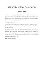 Mộc Châu – Thảo Nguyên Của Tình Yêu pot