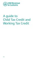 A GUIDE TO CHILD TAX CREDIT AND WORKING TAX CREDIT pptx