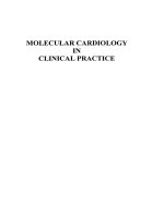 Molecular Cardiology in Clinical Practice pot