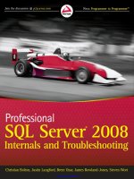 Professional SQL Server 2008 Internals and Troubleshooting ppt