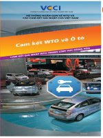 Cam kết gia nhập WTO của Việt Nam về ngành Ô tô pdf