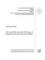 How and Why does the Efficiency of Regional Innovation Systems Differ? doc