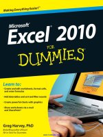 Excel 2010 For Dummies pptx