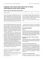 Báo cáo khoa học: Puriﬁcation and structural study of the b form of human cAMP-dependent protein kinase inhibitor pdf