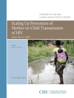 SCALING UP PREVENTION OF MOTHER-TO-CHILD TRANSMISSION OF HIV pot