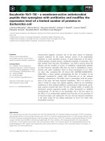 Báo cáo khoa học: Esculentin-1b(1–18) – a membrane-active antimicrobial peptide that synergizes with antibiotics and modiﬁes the expression level of a limited number of proteins in Escherichia coli doc