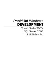 Rapid C# Windows Development potx