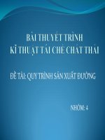 tieu luan mon tai che - quy trinh san xuat duong