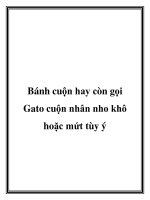 Bánh cuộn hay còn gọi Gato cuộn nhân nho khô hoặc mứt tùy ý ppt