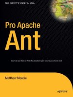 pro apache ant, 2006