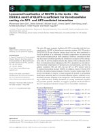 Báo cáo khoa học: Lysosomal localization of GLUT8 in the testis – the EXXXLL motif of GLUT8 is sufﬁcient for its intracellular sorting via AP1- and AP2-mediated interaction docx