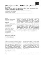 Báo cáo khoa học: C Isotopologue editing of FMN bound to phototropin domains potx