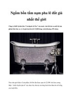 Ngắm bồn tắm nạm pha lê đắt giá nhất thế giới pot