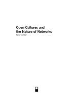 Open Cultures and The Nature of Networks doc