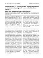 Báo cáo khoa học: Existence of novel b-1,2 linkage-containing side chain in the mannan of Candida lusitaniae, antigenically related to Candida albicans serotype A potx