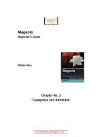 magento sample chapter 3 categories and attributes