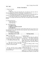 Giáo án lịch sử lớp 6 pot