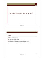 Các module ngoại vi của MCS-51 doc