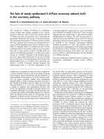 Báo cáo khoa học: The fate of newly synthesized V-ATPase accessory subunit Ac45 in the secretory pathway doc