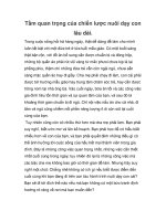 Tầm quan trọng của chiến lược nuôi dạy con lâu dài. doc