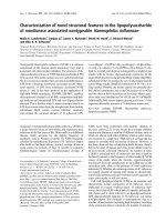 Báo cáo khóa học: Characterization of novel structural features in the lipopolysaccharide of nondisease associated nontypeable Haemophilus inﬂuenzae pptx