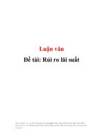 Đề tài: Rủi ro lãi suất potx