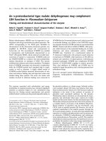 Báo cáo khoa học: An a-proteobacterial type malate dehydrogenase may complement LDH function in Plasmodium falciparum Cloning and biochemical characterization of the enzyme potx