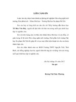 NGHIÊN CỨU PHÂN TÍCH HÀM LƯỢNG XIANUA VÀ ĐÁNH GIÁ Ô NHIỄM TRONG NƯỚC THẢI MẠ Ở MỘT SỐ CƠ SỞ SẢN XUẤT     LUẬN VĂN THẠC SĨ HÓA HỌC